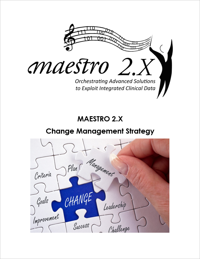 change management strategy